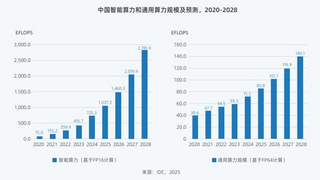 Deepseek引發(fā)算力變革 《2025中國人工智能計算力發(fā)展評估報告》發(fā)布