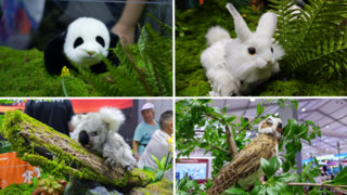 技術(shù)與自然法則的交織創(chuàng)新——恒之未來Hengbot World驚艷亮相2025WRC