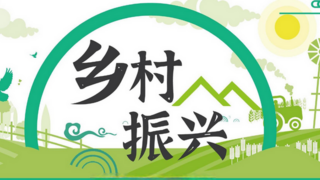 我為群眾辦實(shí)事 -----脫下軍裝換工裝 初心如炬筑夢(mèng)鄉(xiāng)村振興
