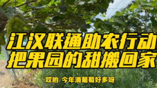 江漢聯(lián)通助農(nóng)行動(dòng):架起網(wǎng)絡(luò)橋梁，讓果園甜蜜走向全國(guó)